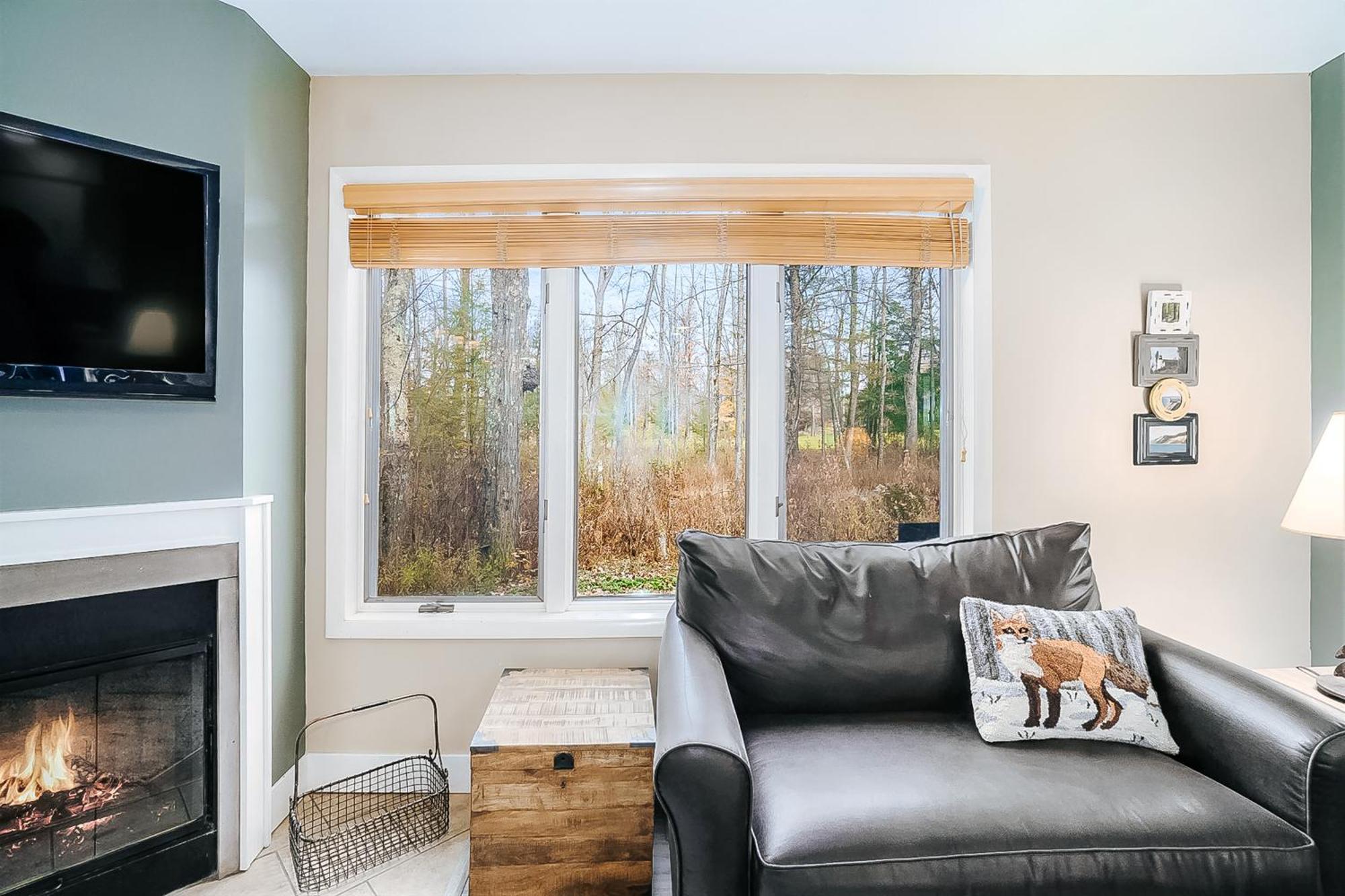 Wintergreen Condos Thompsonville Room photo
